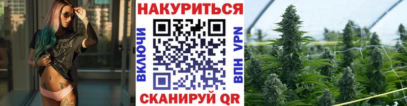 Бошки марихуана планчик  Купить  Уссурийск 